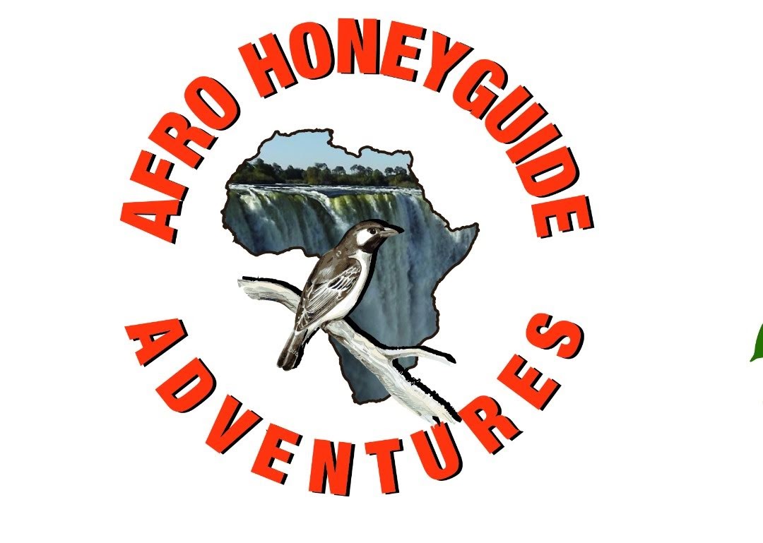 Afro Honeyguide Adventures